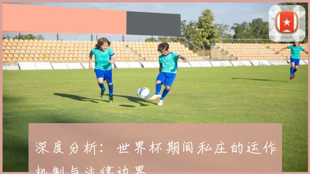 深度分析:世界杯期间私庄的运作机制与法律边界