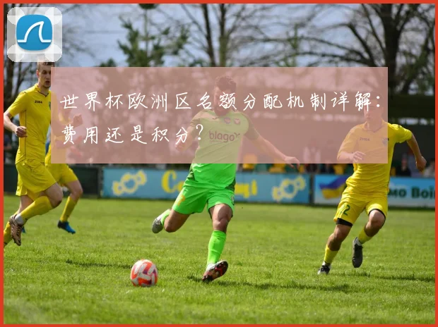 世界杯欧洲区名额分配机制详解：费用还是积分？