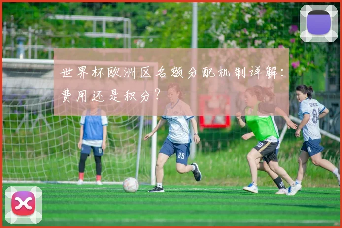 世界杯欧洲区名额分配机制详解：费用还是积分？