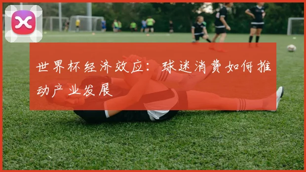 世界杯经济效应:球迷消费如何推动产业发展