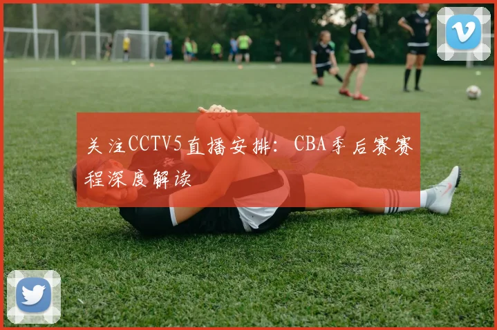 关注CCTV5直播安排：CBA季后赛赛程深度解读