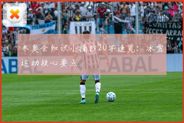 冬奥会知识小摘抄20字速览：冰雪运动核心要点